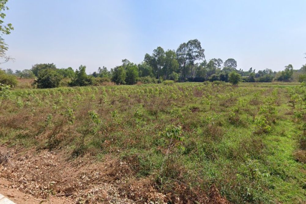 ภาพหน้าจอ_090525_042203_PM