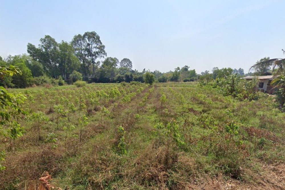 ภาพหน้าจอ_090525_042235_PM