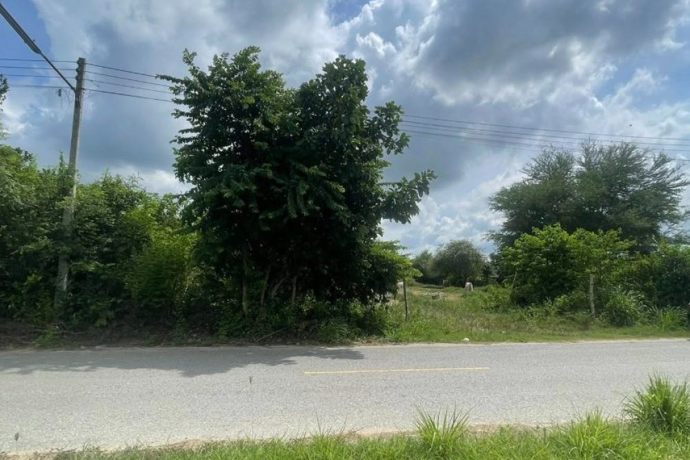 ภาพหน้าจอ_090625_041102_PM