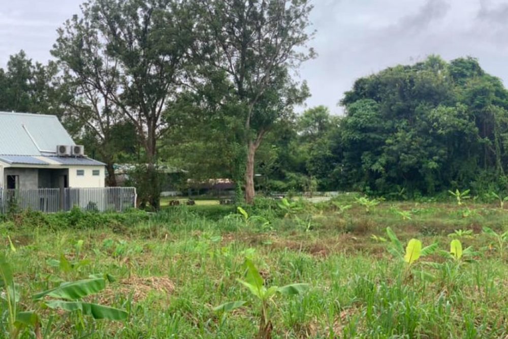 ภาพหน้าจอ_091025_103954_AM