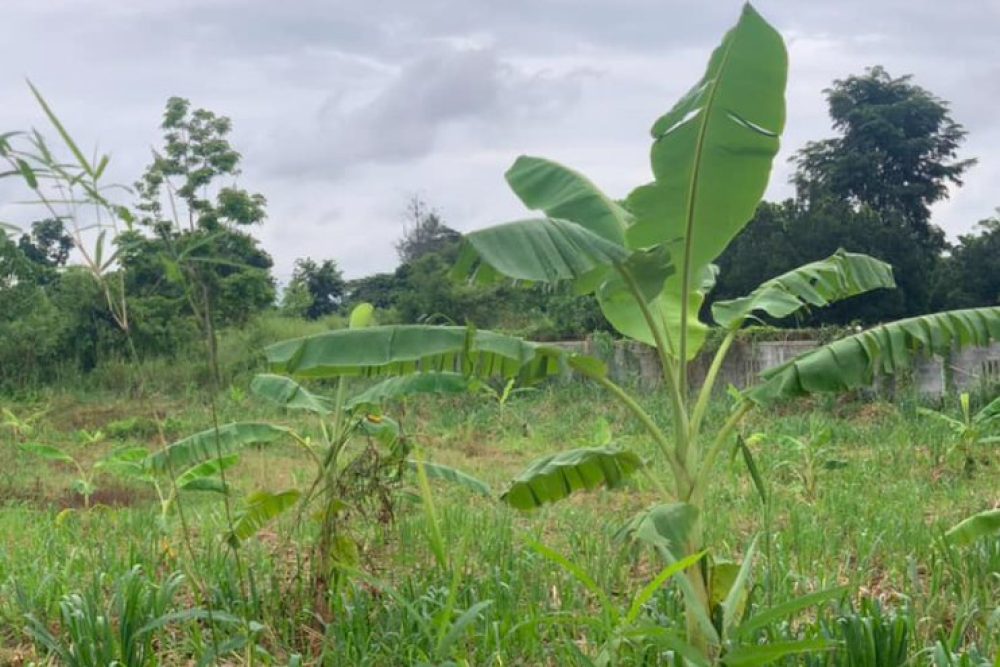 ภาพหน้าจอ_091025_104024_AM