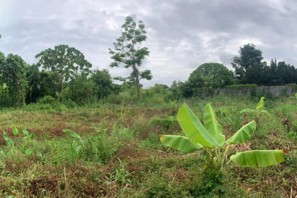 ภาพหน้าจอ_091025_104044_AM