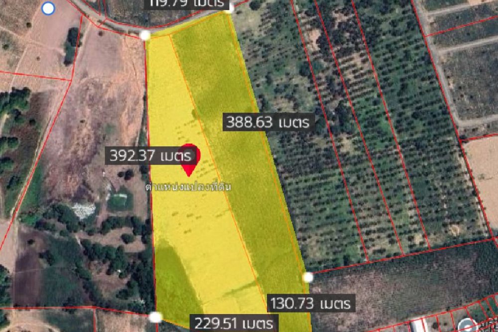 ภาพหน้าจอ_091525_024318_PM