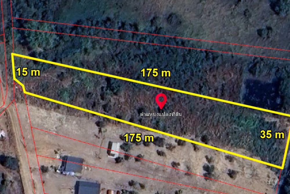 ภาพหน้าจอ_091625_041442_PM