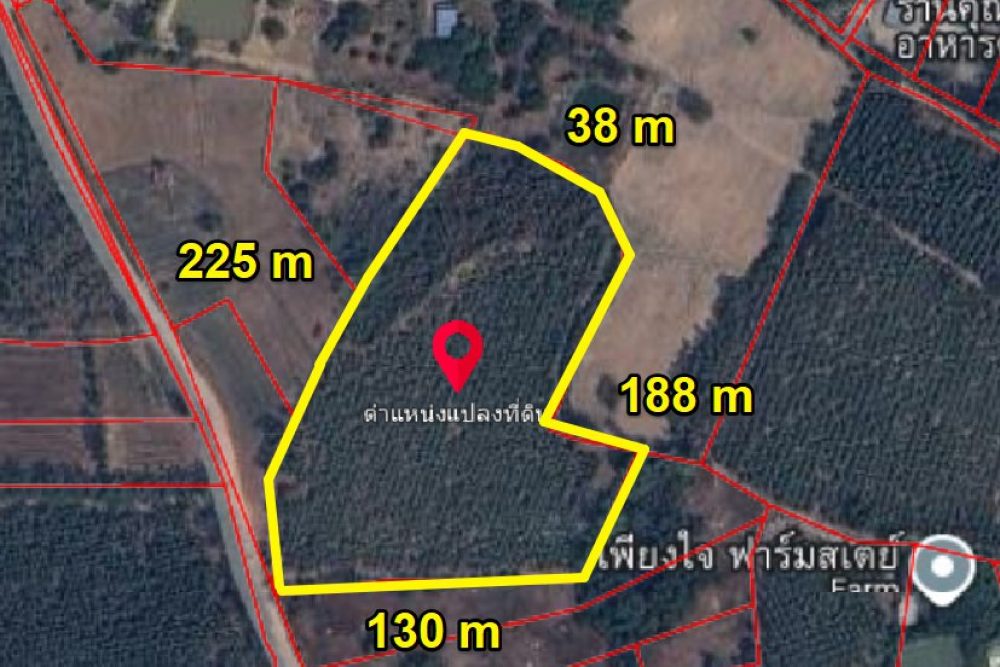 ภาพหน้าจอ_091725_024952_PM