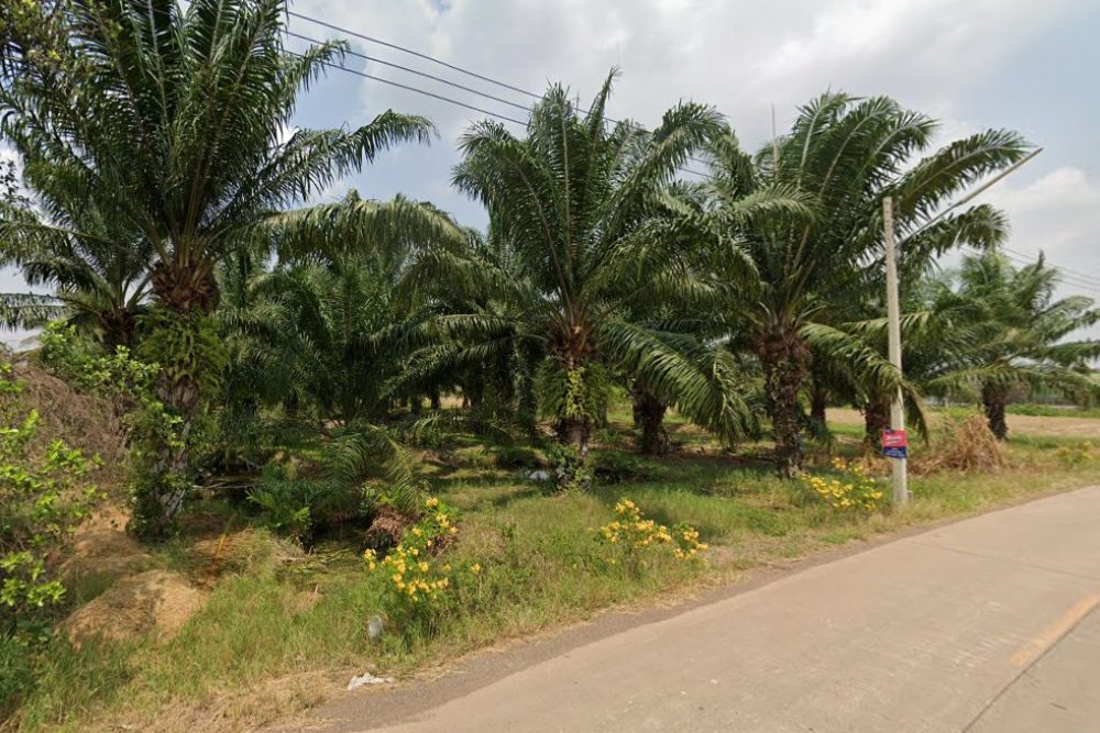 ภาพหน้าจอ_091922_041345_PM