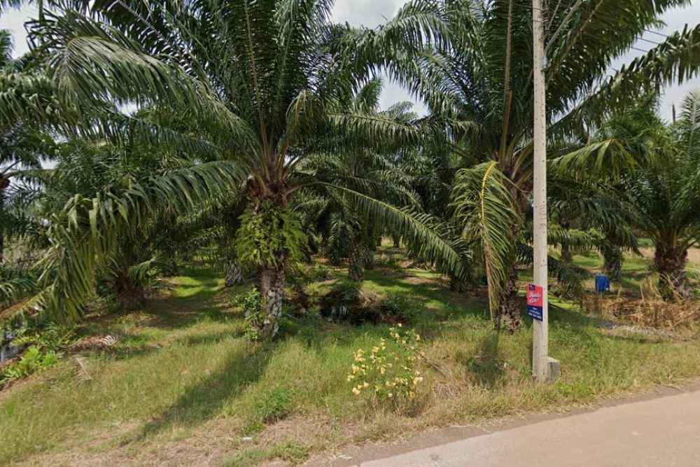 ภาพหน้าจอ_091922_041402_PM