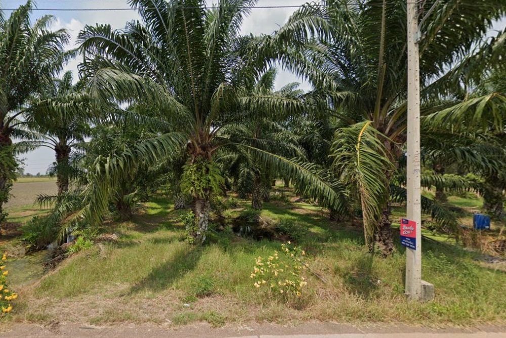 ภาพหน้าจอ_091922_041415_PM