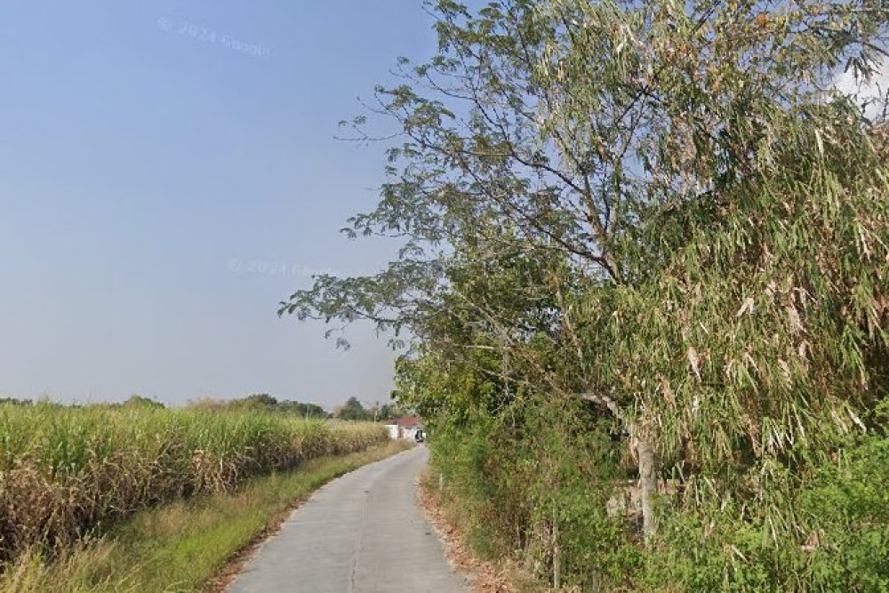 ภาพหน้าจอ_092525_041743_PM