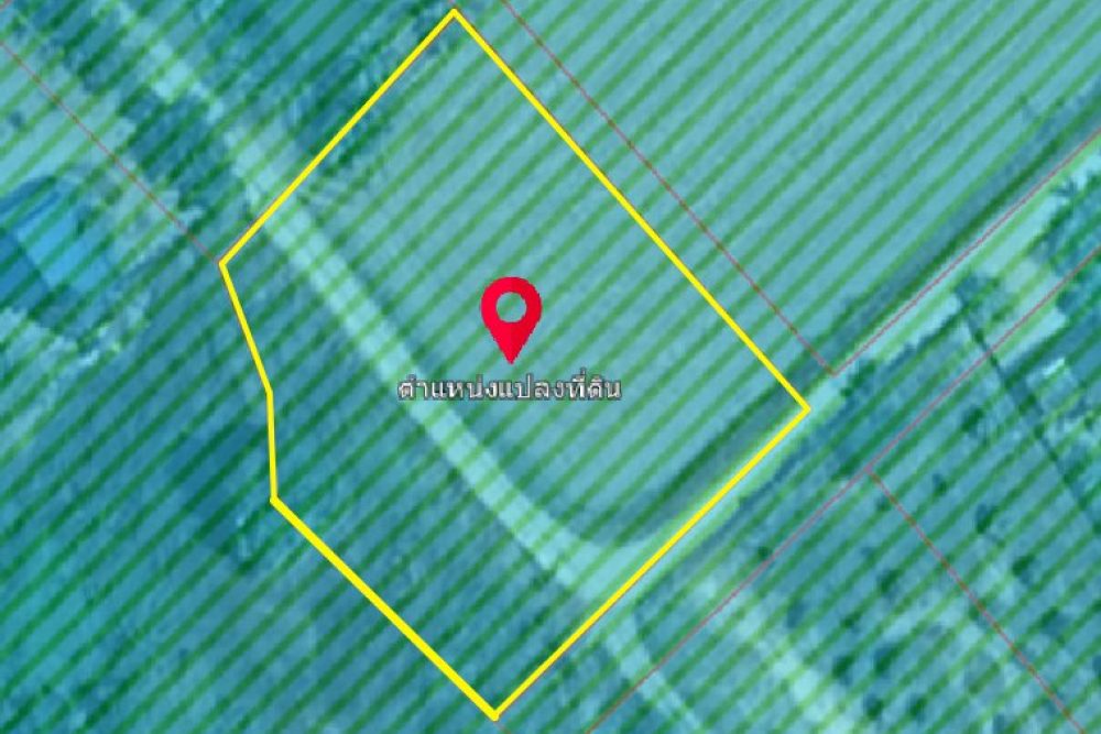 ภาพหน้าจอ_092625_094800_AM