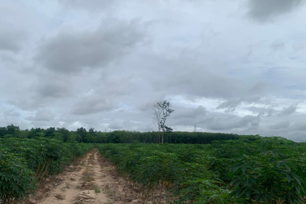 ภาพหน้าจอ_092824_023256_PM