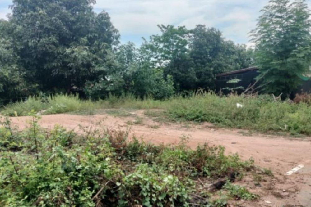 ภาพหน้าจอ_092925_045100_PM