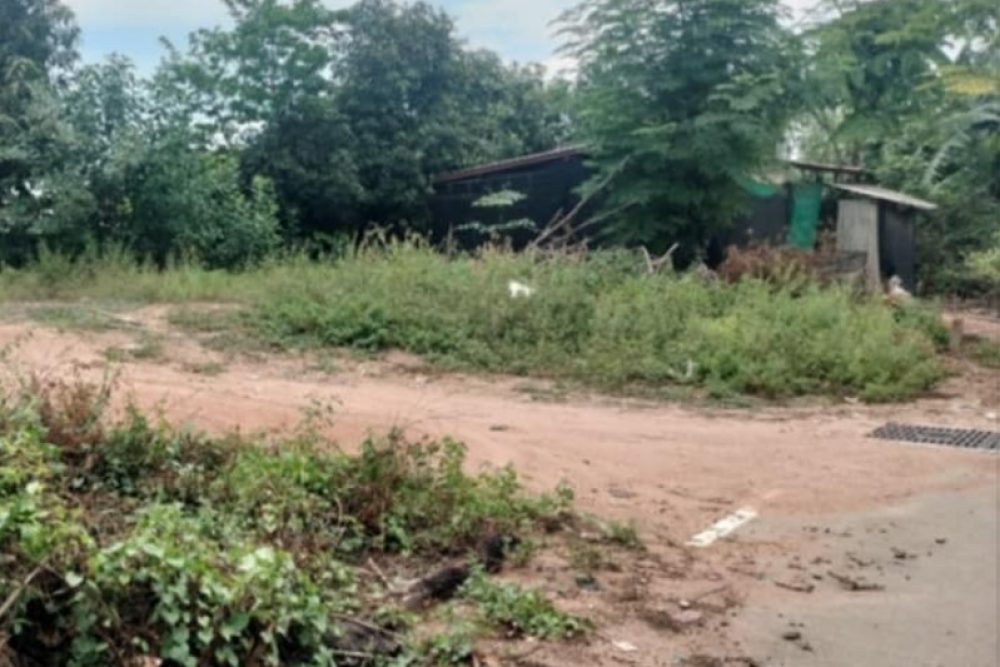 ภาพหน้าจอ_092925_045113_PM