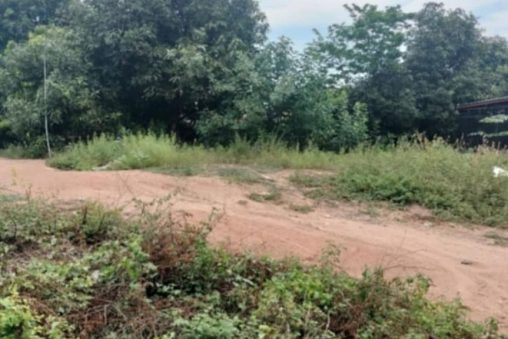 ภาพหน้าจอ_092925_045214_PM