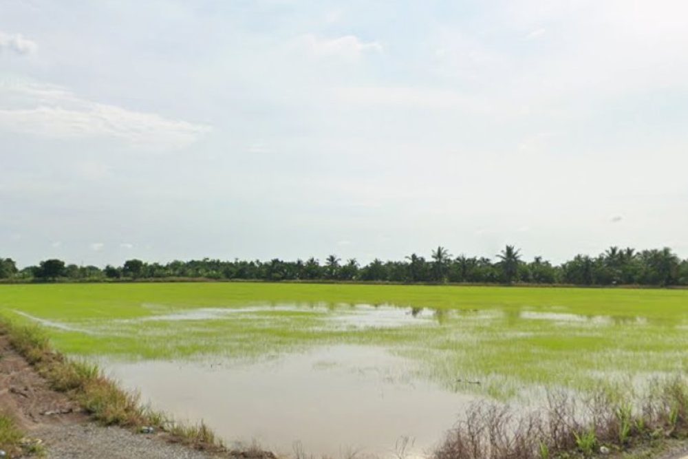 ภาพหน้าจอ_092925_105024_AM