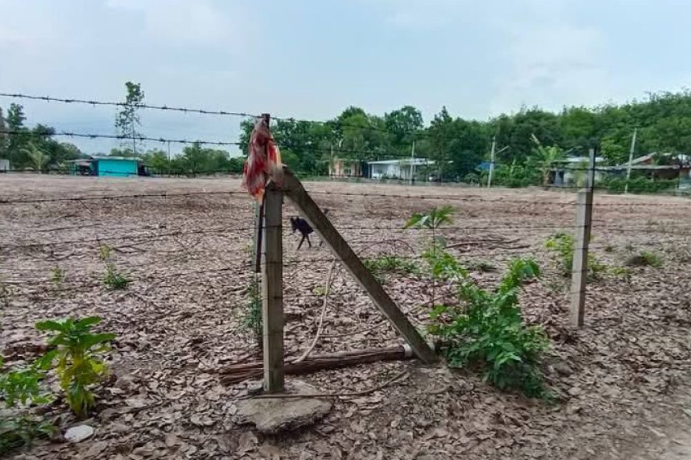 ภาพหน้าจอ_093025_102155_AM