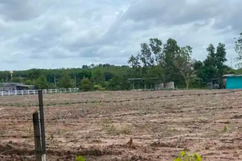 ภาพหน้าจอ_093025_102208_AM