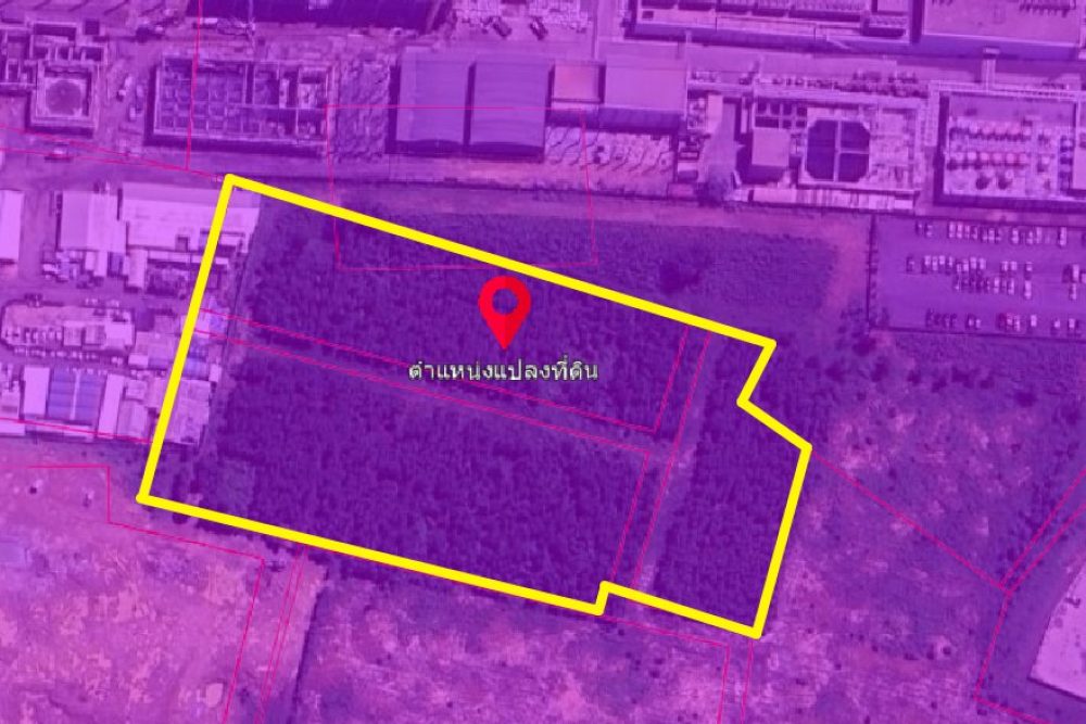 ภาพหน้าจอ_100125_101654_AM