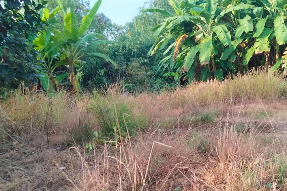 ภาพหน้าจอ_100425_114104_AM