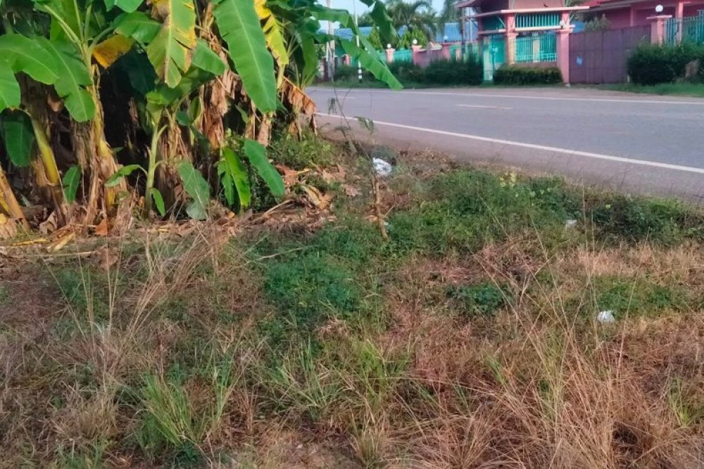 ภาพหน้าจอ_100425_114127_AM