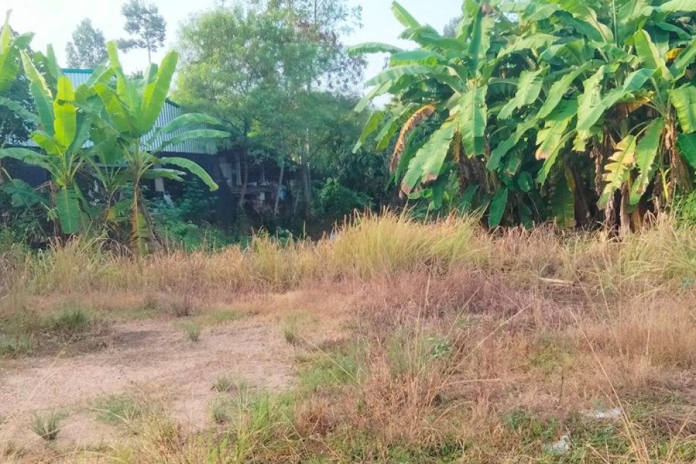 ภาพหน้าจอ_100425_114143_AM