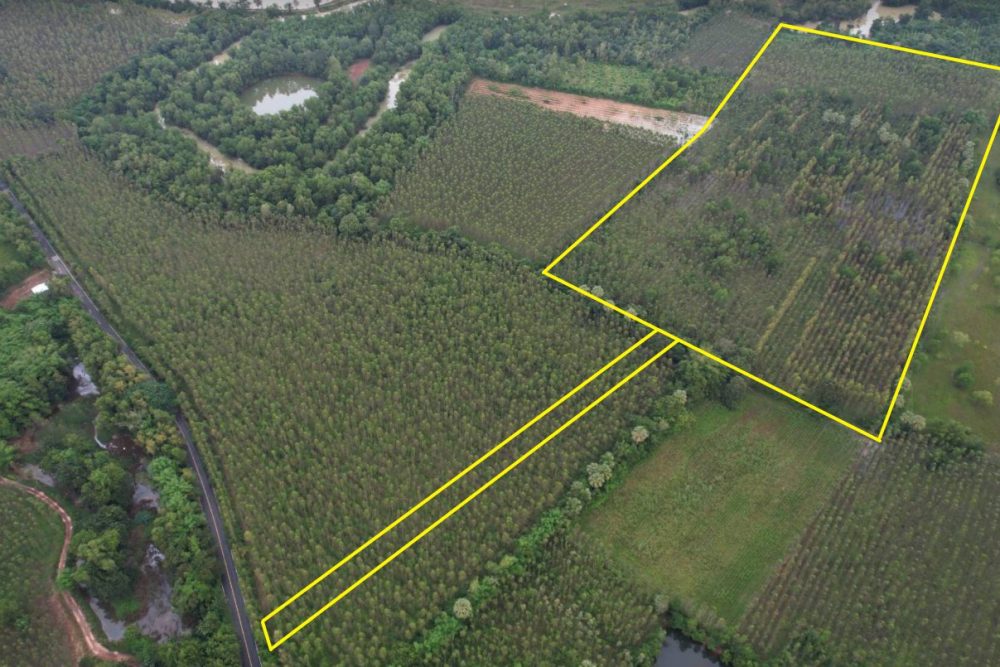 ภาพหน้าจอ_100921_030701_PM