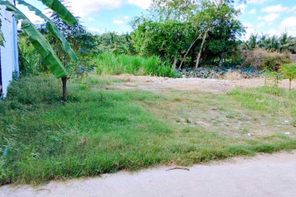 ภาพหน้าจอ_100925_084715_AM