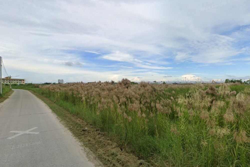 ภาพหน้าจอ_101224_042225_PM