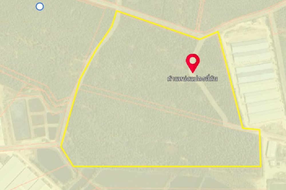 ภาพหน้าจอ_101825_042244_PM