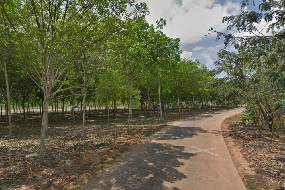 ภาพหน้าจอ_101923_043159_PM