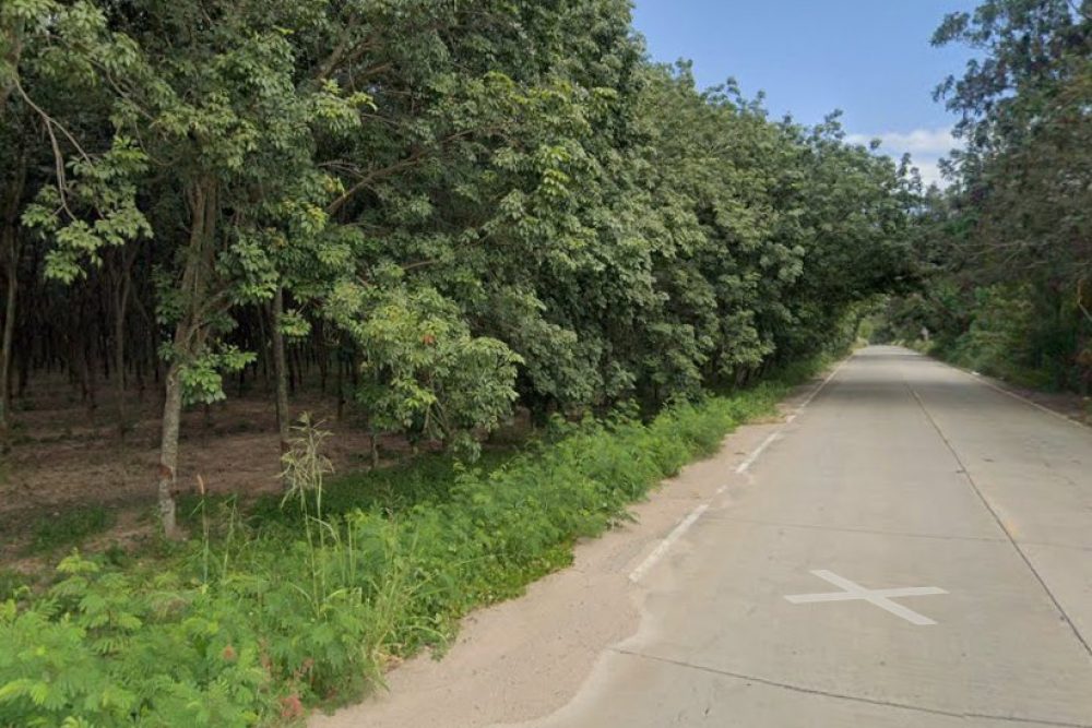 ภาพหน้าจอ_102325_093521_AM