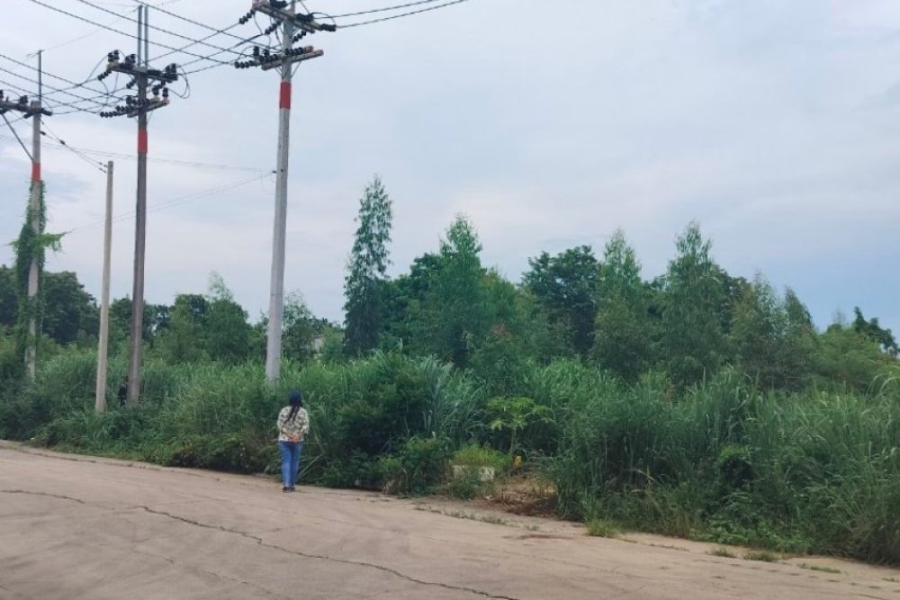 ภาพหน้าจอ_102425_045335_PM