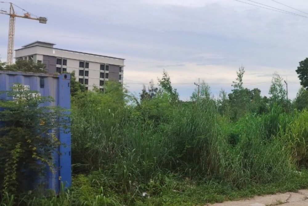 ภาพหน้าจอ_102425_045359_PM