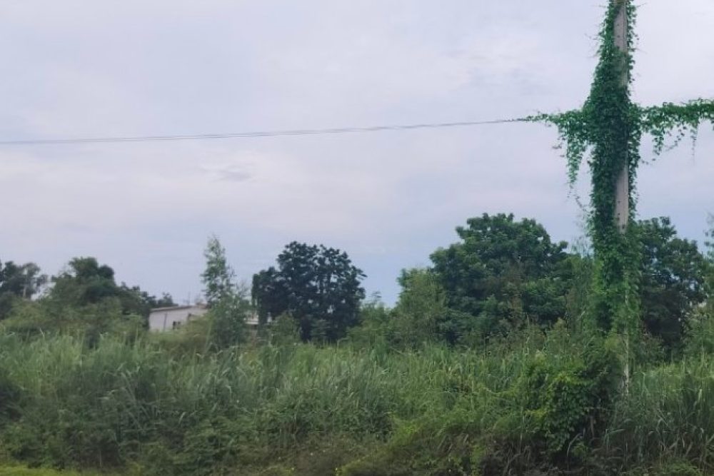 ภาพหน้าจอ_102425_045456_PM