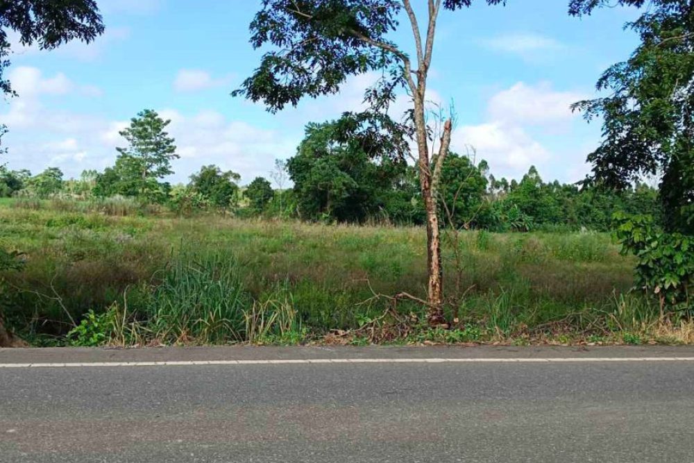 ภาพหน้าจอ_102925_015309_PM