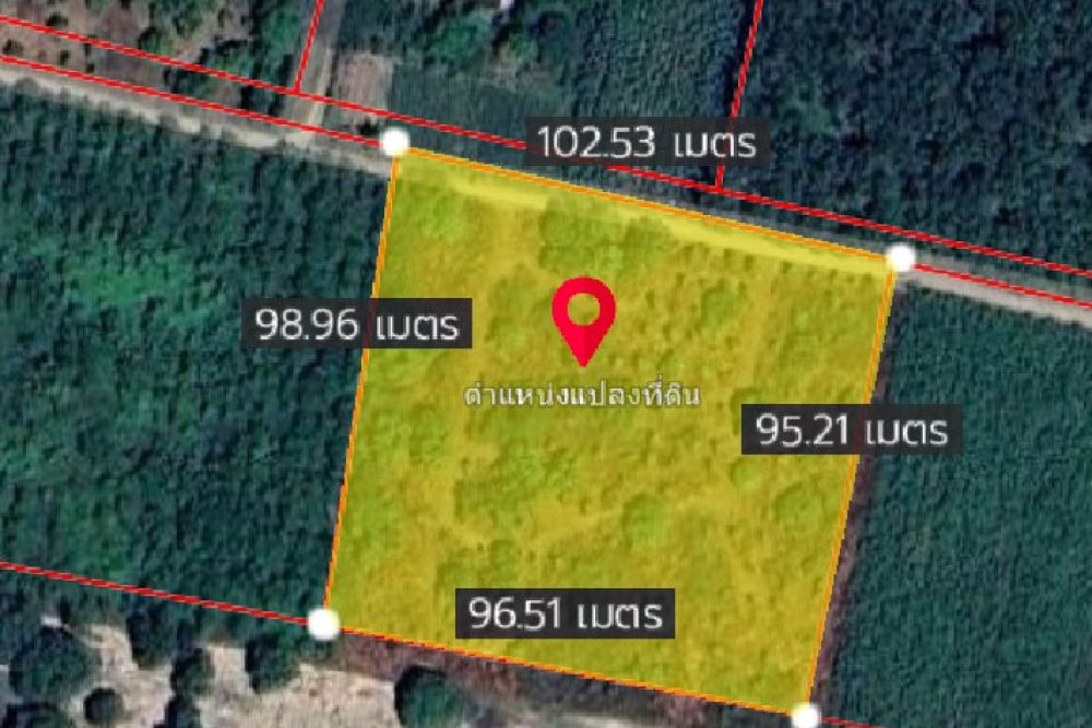 ภาพหน้าจอ_103125_110020_AM