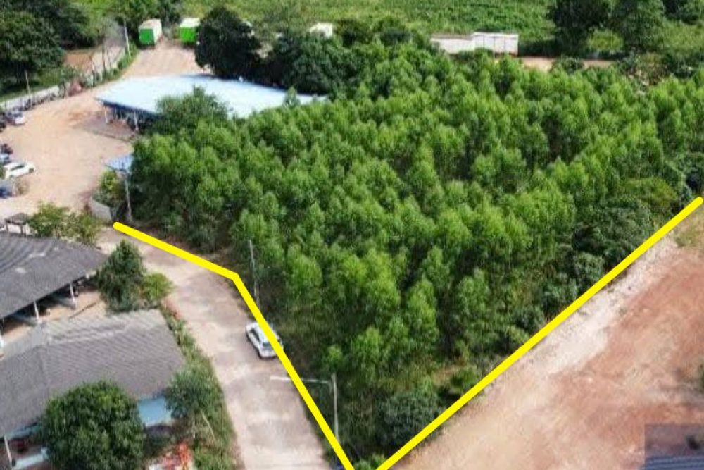 ภาพหน้าจอ_110425_104003_AM