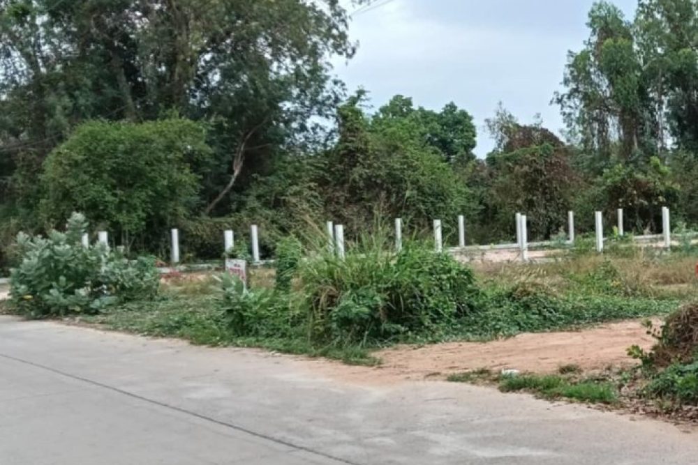 ภาพหน้าจอ_110625_045607_PM