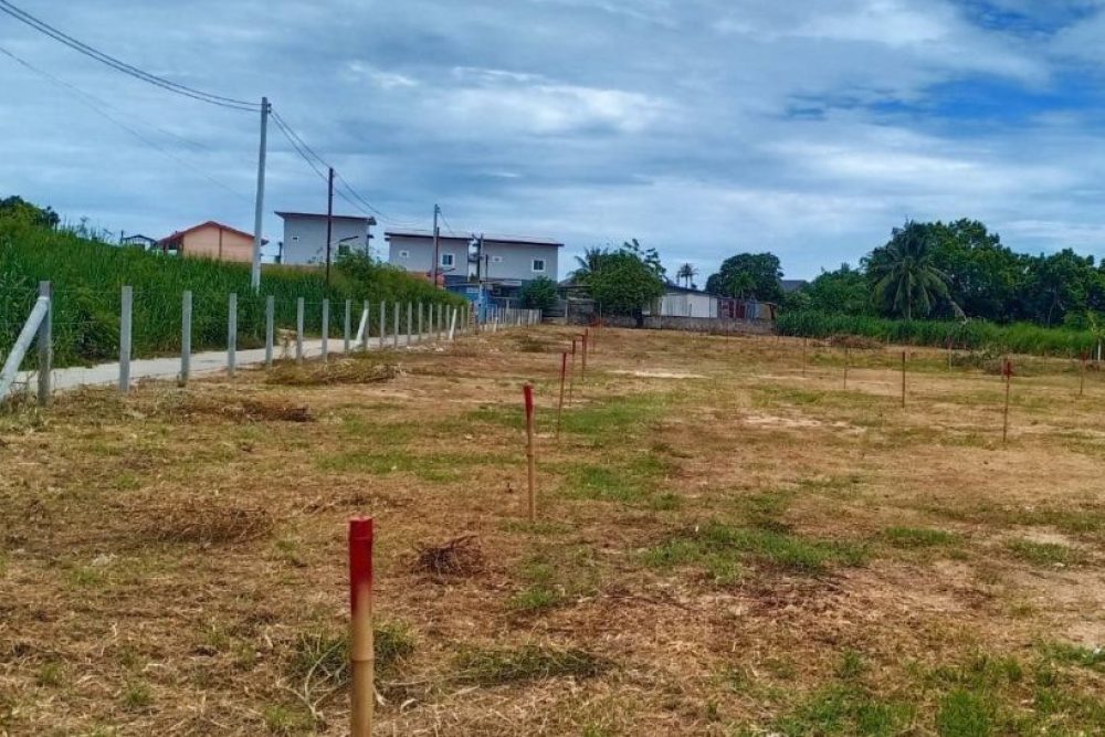 ภาพหน้าจอ_111025_114247_AM