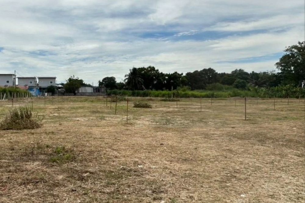 ภาพหน้าจอ_111025_114300_AM