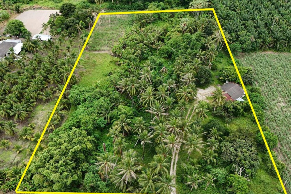 ภาพหน้าจอ_111525_020040_PM