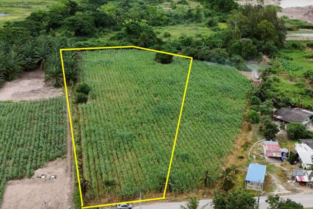 ภาพหน้าจอ_111525_040518_PM