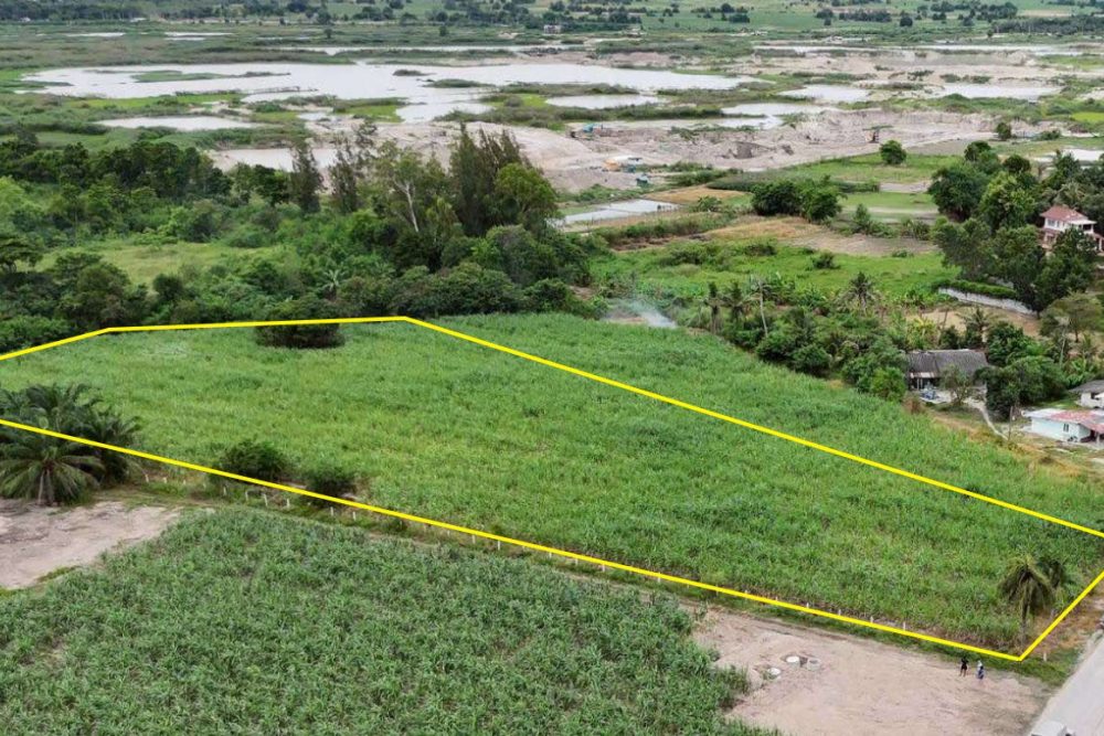 ภาพหน้าจอ_111525_040616_PM