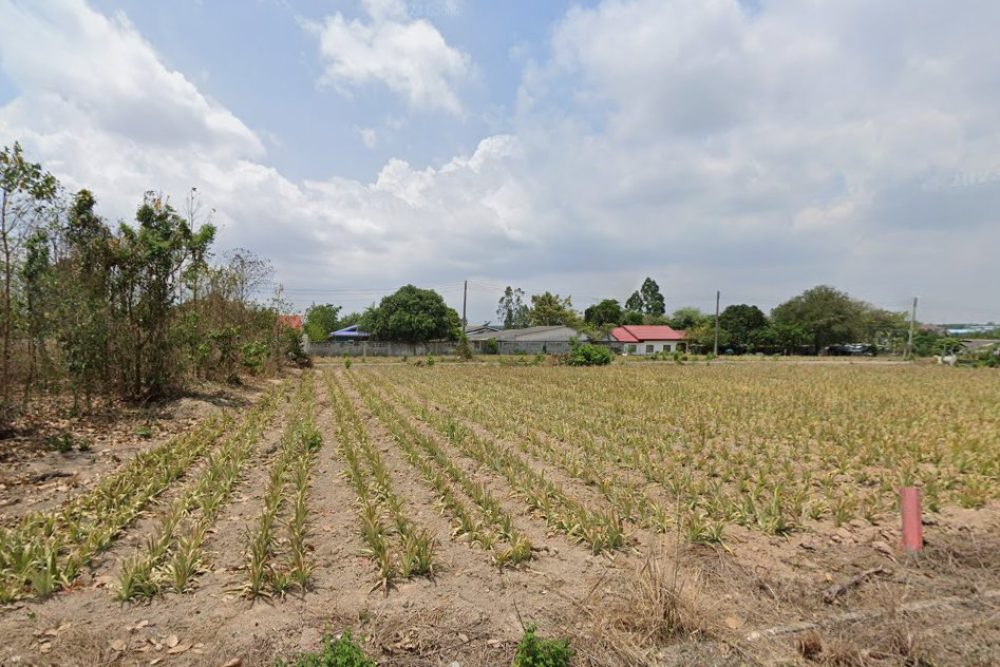 ภาพหน้าจอ_111723_020120_PM