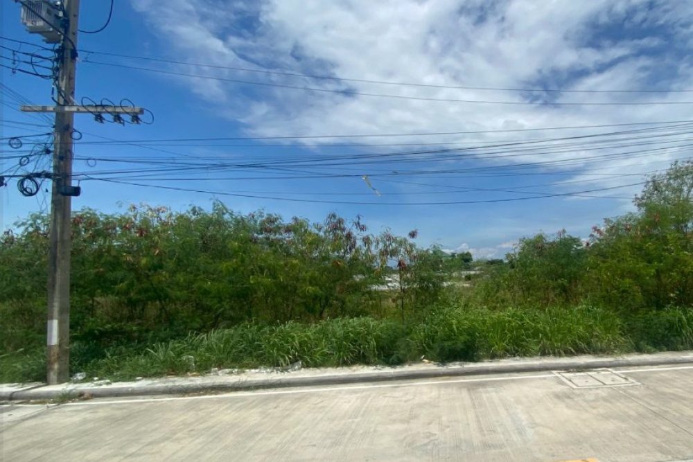 ภาพหน้าจอ_111825_032953_PM