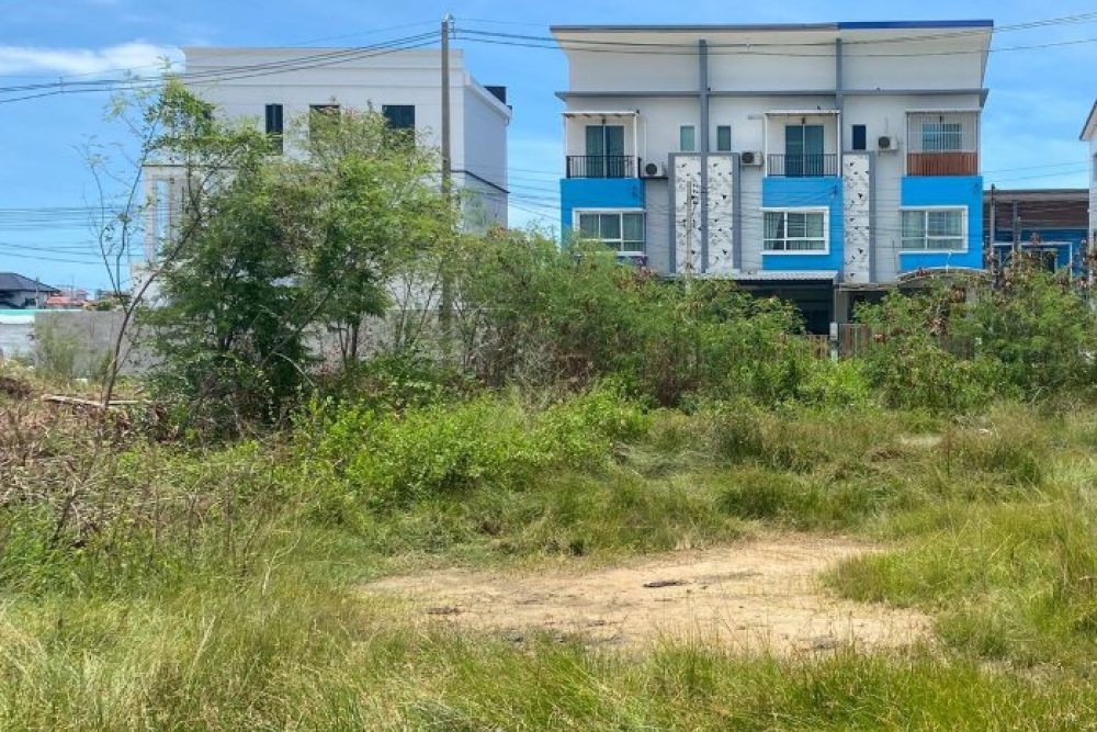 ภาพหน้าจอ_111825_033034_PM