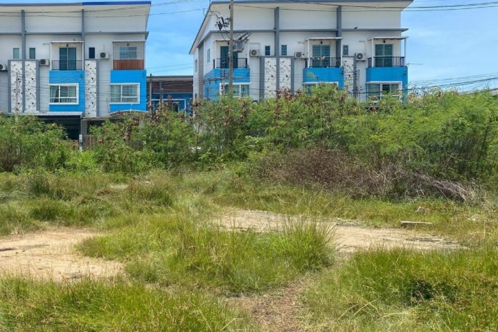 ภาพหน้าจอ_111825_033044_PM