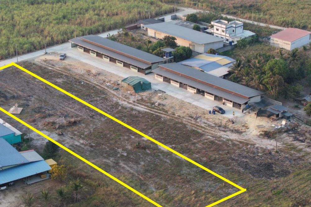 ภาพหน้าจอ_111825_042541_PM