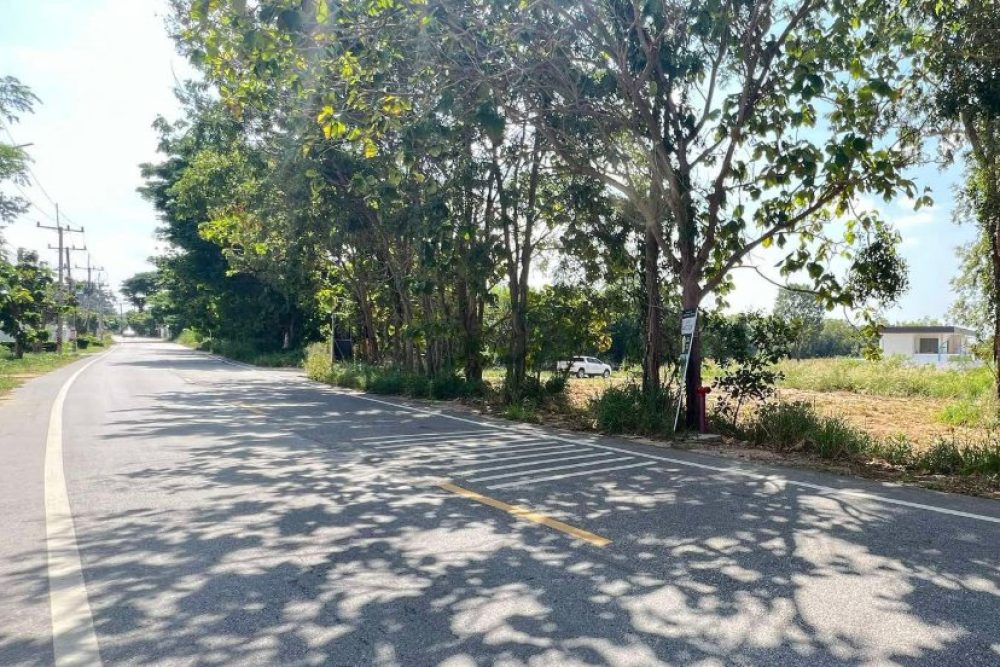 ภาพหน้าจอ_112425_042403_PM