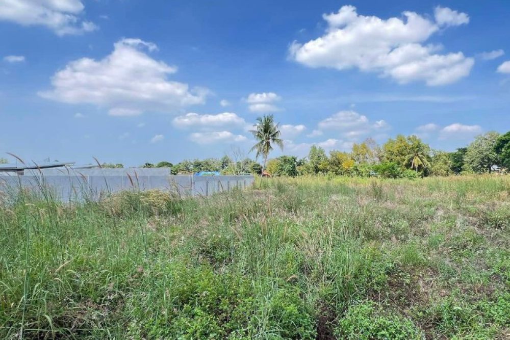 ภาพหน้าจอ_112425_042416_PM